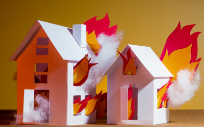 Wildfire Risk Reduction