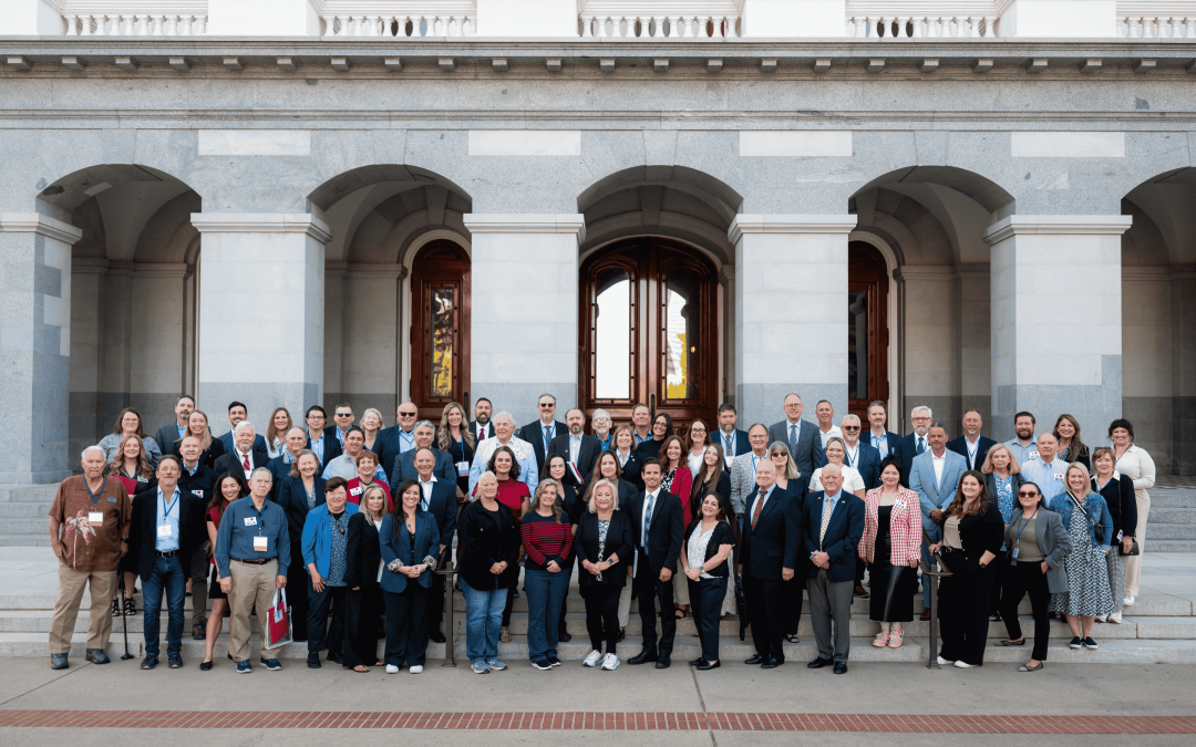Advocacy Days 2026 with CAI-CLAC: A Personal Account From a First-Timer
